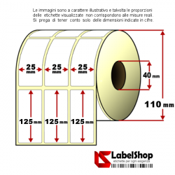 Rotolo etichette adesive mm 25x125 Vellum 3 piste anima 40