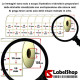 Rotolo da 28000 etichette adesive mm 10x10 Carta Vellum trasferimento termico 8 piste anima 40
