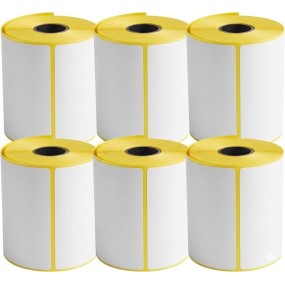 Lotto da 6 rotoli da 215  etichette in carta vellum 100x100 foro 25 mm totale 1290  pz