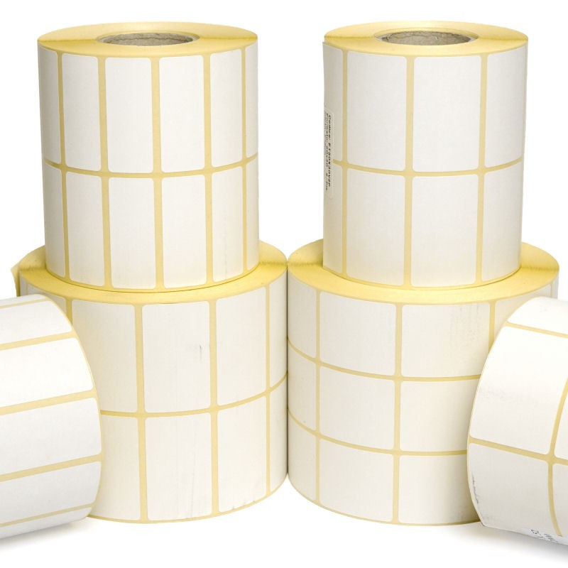 Confezione Etichette A Trasferimento Termico 100x120 Mm